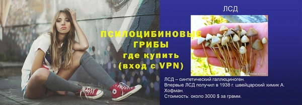 a pvp Михайловск