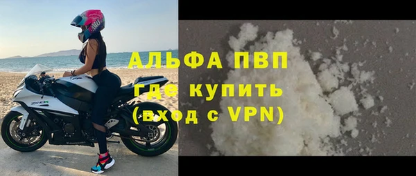 гашик Мегион