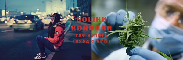 гашик Мегион
