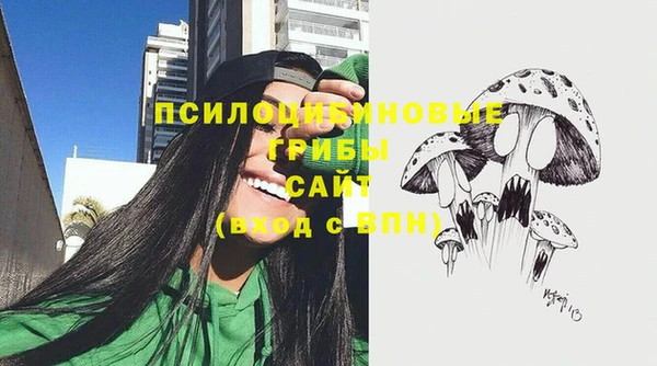 a pvp Михайловск