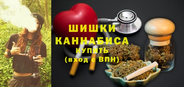 гашик Мегион