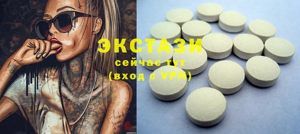 гашик Мегион