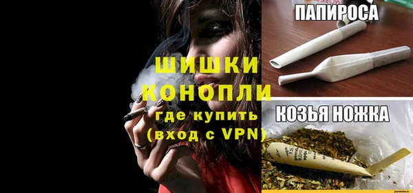 гашик Мегион