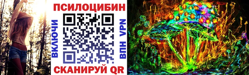 купить  сайты  Макушино  Галлюциногенные грибы Psilocybine cubensis 