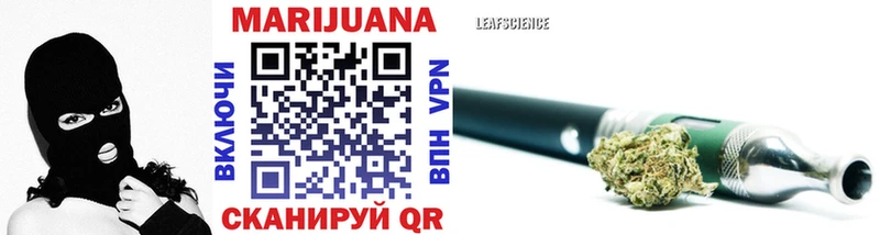 где продают наркотики  Макушино  Бошки Шишки SATIVA & INDICA 